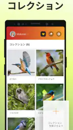 Picture Bird - 撮ったら、判る-1秒鳥図鑑 screenshot