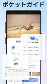 Picture Insect：撮ったら、判る-1秒昆虫図鑑 screenshot