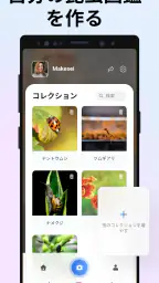 Picture Insect：撮ったら、判る-1秒昆虫図鑑 screenshot