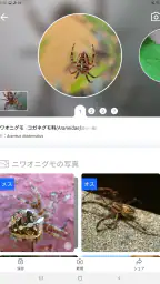 Picture Insect：撮ったら、判る-1秒昆虫図鑑 screenshot