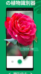 PictureThis：撮ったら 1秒でわかる 植物図鑑 screenshot