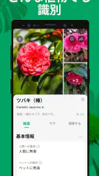 PictureThis：撮ったら 1秒でわかる 植物図鑑 screenshot