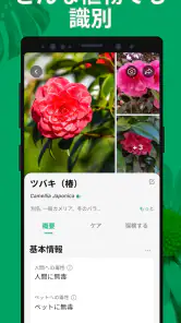 PictureThis：撮ったら 1秒でわかる 植物図鑑 screenshot