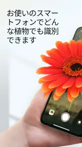 PlantApp - 植物判定アプリ screenshot