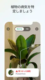 PlantApp - 植物判定アプリ screenshot