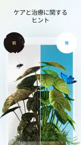 PlantApp - 植物判定アプリ screenshot