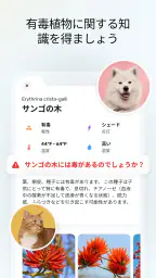 PlantApp - 植物判定アプリ screenshot