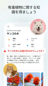 PlantApp - 植物判定アプリ screenshot