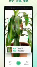Plant Parent - 私のケアガイド screenshot