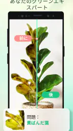 Plant Parent - 私のケアガイド screenshot