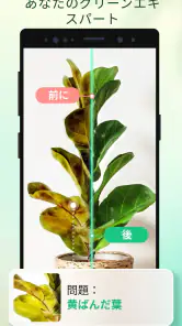 Plant Parent - 私のケアガイド screenshot