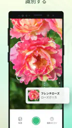 Plant Parent - 私のケアガイド screenshot