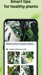 Plantid: 植物識別AI screenshot