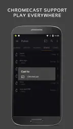 Pulsar 音楽プレーヤー screenshot