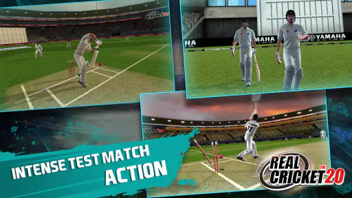 Real Cricket™ 20 screenshot