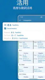 Reverso：翻訳と学習 screenshot