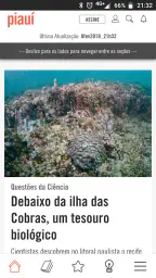revista piauí screenshot
