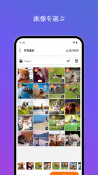 SELPHY Photo Layout screenshot