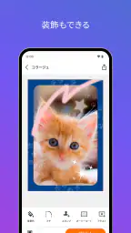 SELPHY Photo Layout screenshot