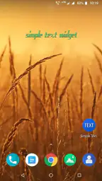 Simple text widget screenshot