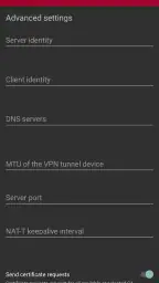 strongSwan VPN Client screenshot