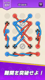 Tangled Rope: Twisted Puzzle screenshot