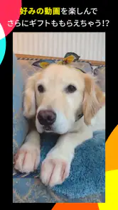 TikTok Lite 動画にポイントに!新感覚ポイ活アプリ screenshot