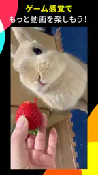 TikTok Lite 動画にポイントに!新感覚ポイ活アプリ screenshot