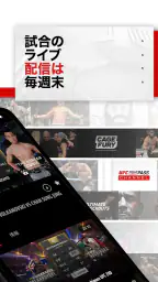 UFC screenshot