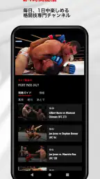 UFC screenshot