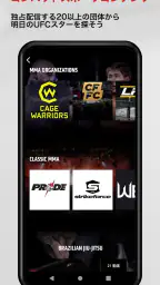 UFC screenshot