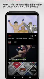 UFC screenshot