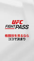 UFC screenshot