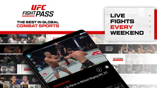 UFC screenshot