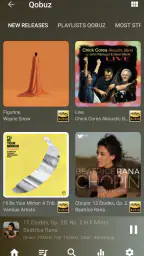USB Audio Player PRO screenshot