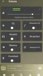 USB Audio Player PRO screenshot