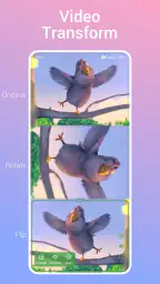 Video Live Wallpaper screenshot