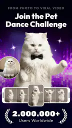 vivago.ai-AI Video&Effects screenshot