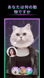 Wonder Video: ビデオクリップ screenshot