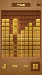 Wood Block Puzzle Games screenshot