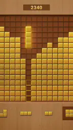 Wood Block Puzzle Games screenshot