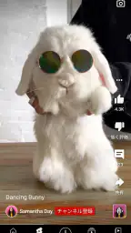 YouTube screenshot
