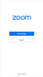 Zoom Workplace for Chromebook screenshot