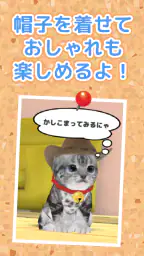 ねこ育成ゲーム - 子猫をのんびり育てる癒しの猫育成ゲーム screenshot