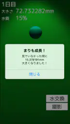 まりも育成ゲーム screenshot