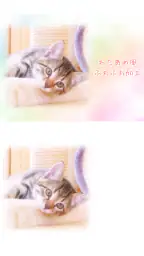 わたあめカメラ screenshot