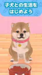 わんこと私 - 子犬のペット育成ゲーム screenshot