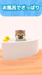 わんこと私 - 子犬のペット育成ゲーム screenshot