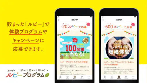カルビー ルビープログラム screenshot