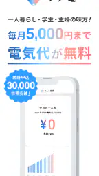 タダ電 - 毎月電気代が5,000円タダになる電力会社 screenshot